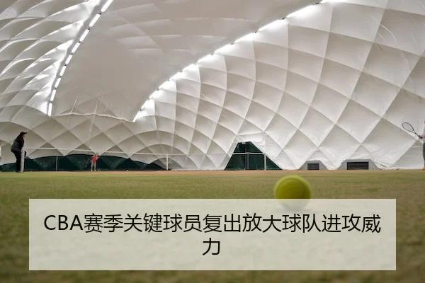 CBA赛季关键球员复出放大球队进攻威力（Tiger Dragon）